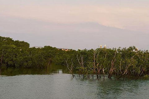 1-Hour Darwin Harbour Highlights Cruise - Holiday Jervis Bay 7