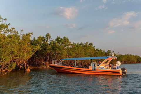 1-Hour Darwin Harbour Highlights Cruise - Holiday Jervis Bay 3