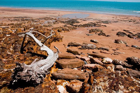 Darwin Shore Excursion: Hop-on Hop-off Bus Tour - Holiday Jervis Bay 9