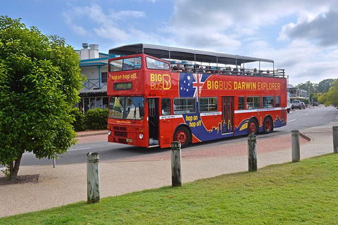 Darwin Shore Excursion: Hop-on Hop-off Bus Tour - Holiday Jervis Bay 4