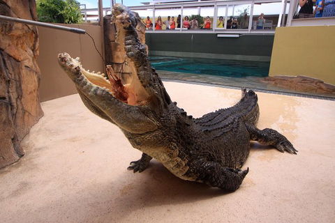 Darwin Hop-on Hop-off Bus Tour - Holiday Jervis Bay 1