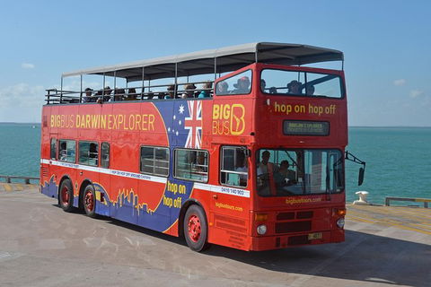 Darwin Hop-on Hop-off Bus Tour - Holiday Jervis Bay 2