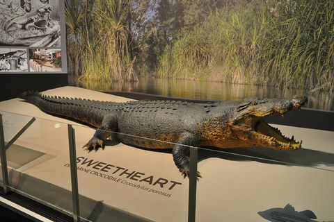 Explore Darwin City Sights Including Key Attractions - Holiday Jervis Bay 7