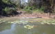 3-Day Kakadu National Park And Arnhem Land Explorer Tour From Darwin - thumb 23