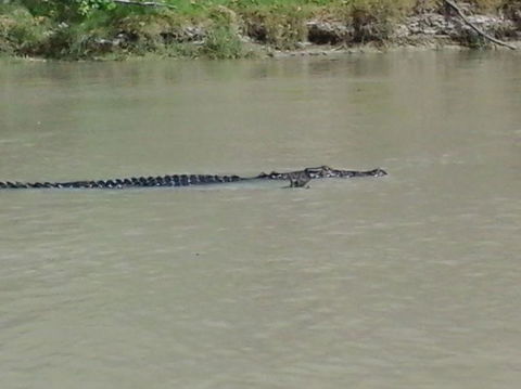 3-Day Kakadu National Park And Arnhem Land Explorer Tour From Darwin - Holiday Jervis Bay 7
