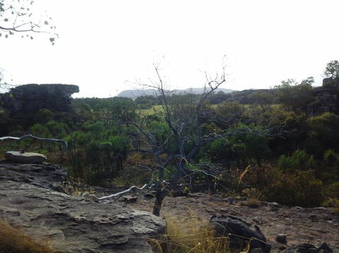 3-Day Kakadu National Park And Arnhem Land Explorer Tour From Darwin - Holiday Jervis Bay 14