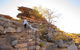 3-Day Kakadu National Park And Arnhem Land Explorer Tour From Darwin - thumb 31