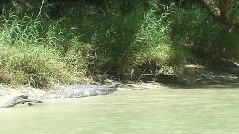 3-Day Kakadu National Park And Waterfalls Tour From Darwin - Holiday Jervis Bay 2