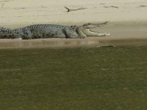 3-Day Kakadu National Park And Waterfalls Tour From Darwin - Holiday Jervis Bay 4