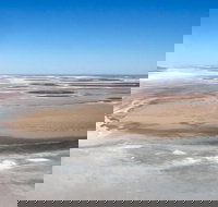 Scenic Flight Lizard Safari - Holiday Jervis Bay