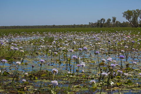 2:30pm Safari Cruise (1.5 Hours) - Holiday Jervis Bay 0