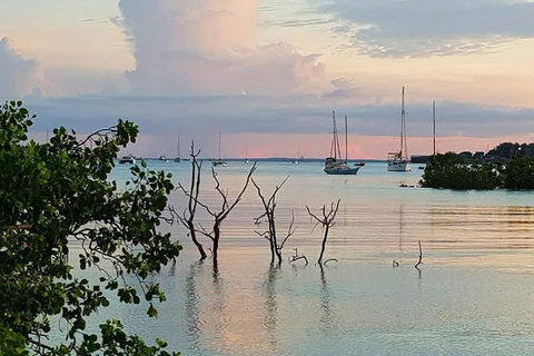 Tropical Light Tropical Bite - Twilight Cruise And CHOW Dinner - Holiday Jervis Bay 7
