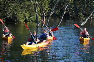 Kayak and SUP Guided Tours