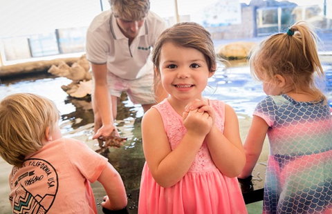 AQWA The Aquarium Of Western Australia - Holiday Jervis Bay 2