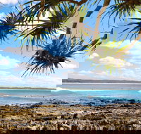 Arrawarra-Corindi Beach - Holiday Jervis Bay