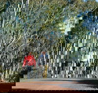 Arthur River - Holiday Jervis Bay