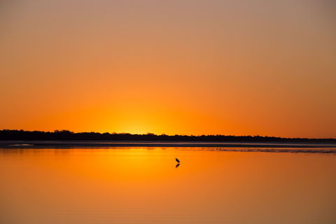 Birdwatching On The Fraser Coast - Holiday Jervis Bay 1