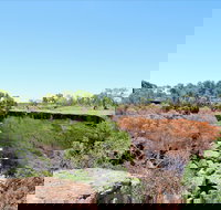 Bladensburg National Park - Holiday Jervis Bay