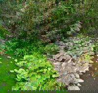 Brindle Creek Walking Track - Holiday Jervis Bay