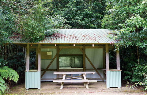 Coachwood Picnic Area - Holiday Jervis Bay 0