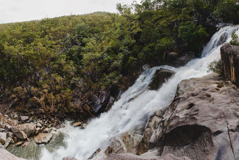Davies Creek National Park And Dinden National Park - Holiday Jervis Bay 0