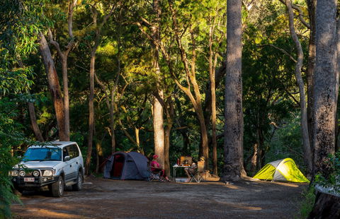 Davies Creek National Park And Dinden National Park - Holiday Jervis Bay 1