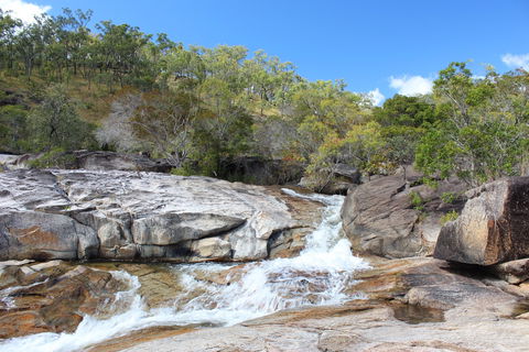 Davies Creek National Park And Dinden National Park - Holiday Jervis Bay 2
