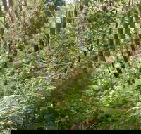 Gap Beach Walking Track - Holiday Jervis Bay