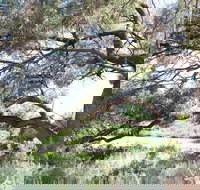 Gathercole Nature Reserve - Holiday Jervis Bay