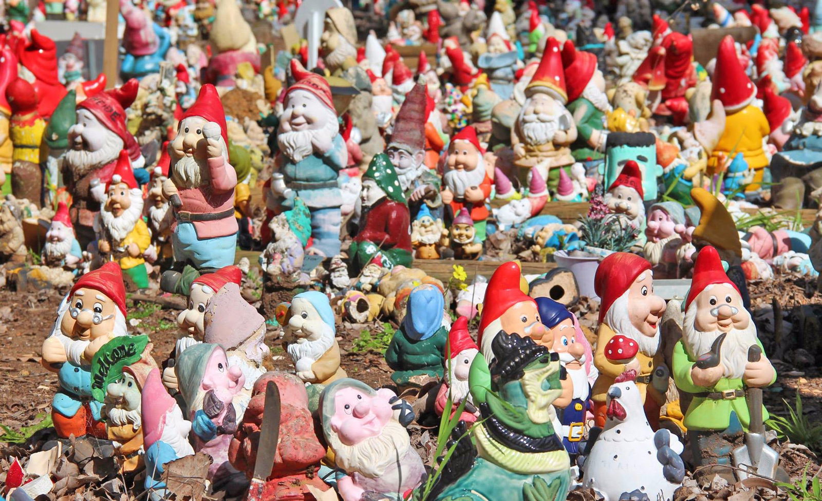 Wellington Mill WA Holiday Jervis Bay