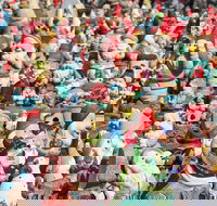 Gnomesville - Holiday Jervis Bay