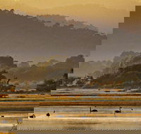 Greens Beach - Holiday Jervis Bay