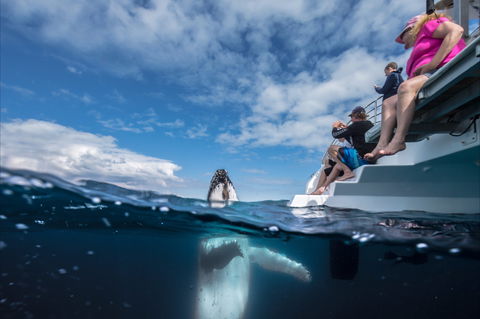 Great Beach Drive - 3 Day Itinerary - Holiday Jervis Bay 2