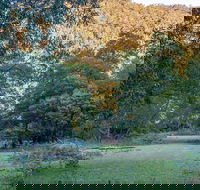 Griffins walking track - Holiday Jervis Bay