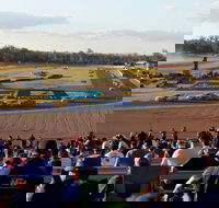 Ipswich Motorsport Precinct - Holiday Jervis Bay