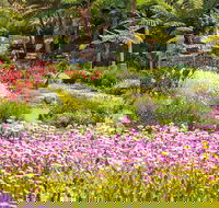 Jurassic Garden AR Experience - Holiday Jervis Bay