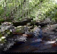 Kangaroo River - Holiday Jervis Bay
