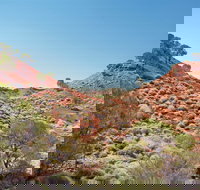 Lark Quarry Conservation Park - Holiday Jervis Bay