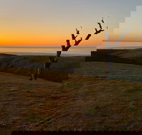 Lessismore Farm Afternoon Farmer - Holiday Jervis Bay