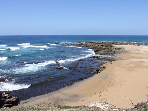 Little Shelley - Holiday Jervis Bay 0