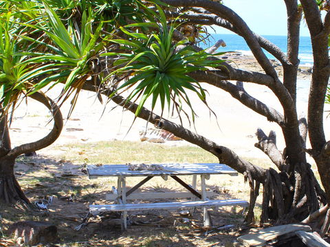 Little Shelley - Holiday Jervis Bay 2