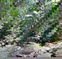 Lyrebird track - Holiday Jervis Bay