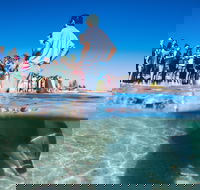 Monkey Mia - Holiday Jervis Bay