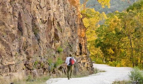 Old Great North Road - World Heritage Walk - Holiday Jervis Bay 0