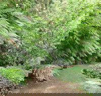 Pirianda Gardens - Holiday Jervis Bay