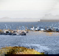 Portarlington - Holiday Jervis Bay