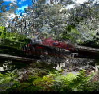 Puffing Billy Railway - Holiday Jervis Bay