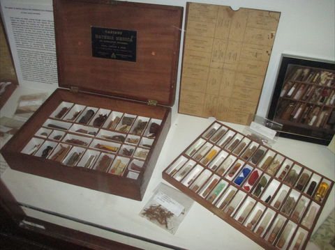 UQ Marks-Hirschfeld Museum Of Medical History - Holiday Jervis Bay 0