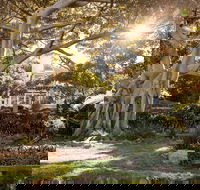 Wendy Whiteley's Secret Garden - Holiday Jervis Bay