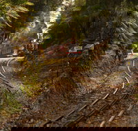 West Coast - Holiday Jervis Bay